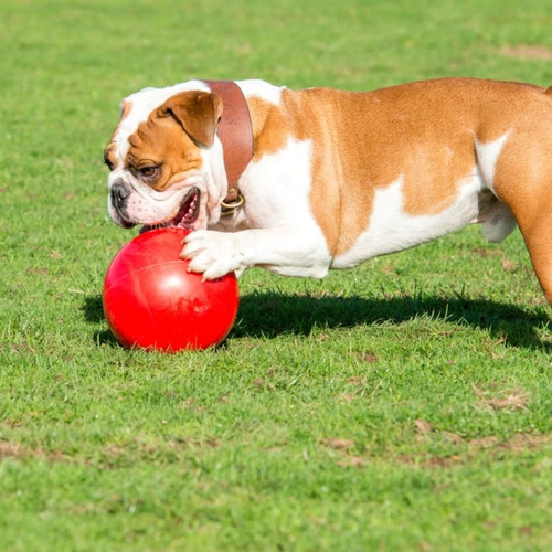 Imagen 3 de 4 de Boomer Ball Medium Pelota Juguete Perro Mediano