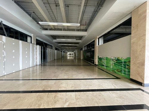 Imagen 5 de 7 de Se Alquila Local Comercial 150m² Cerro Verde