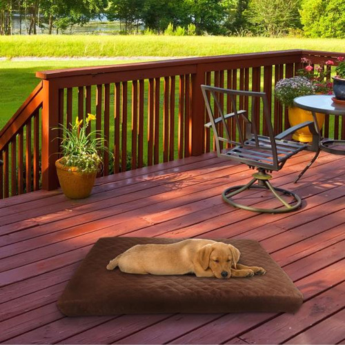 Cama Impermeable Para Mascotas De Espuma Viscoelástica, Cama