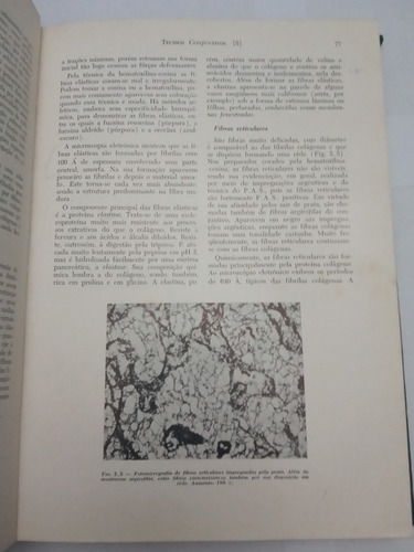 Histologia Básica (Usado)