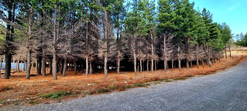 Lote En Venta En Bariloche - Dina Huapi - Loteo Dina Hue - Id: 45821