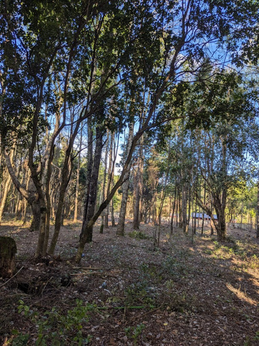 Sitio El Claro - Pucon