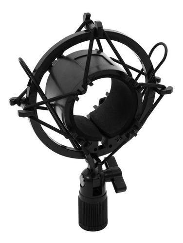 Kit Studio Microphone Con Soporte / Antipop / Stand Philco C