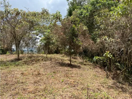 Lote En Venta Rionegro-los Pinos