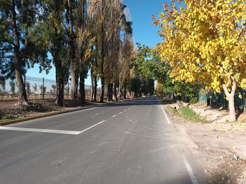 Terreno En Venta En Maipú - Mendoza