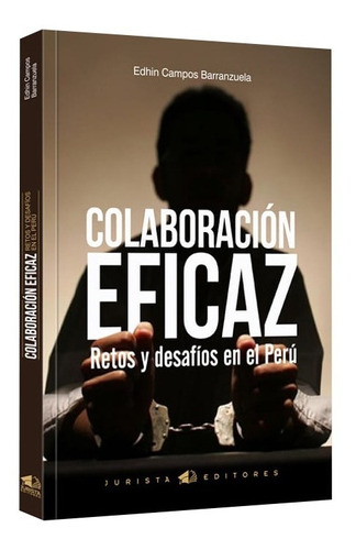Libro Colaboración Eficaz Retos Y Desafíos En El Perú