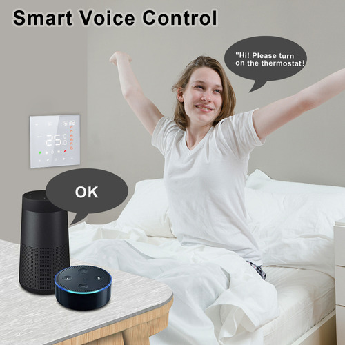 Termostato Amazon Temperature Smart Tuya Voice Thermostat