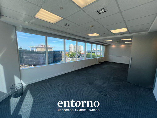 Oficina De 124 M2 En Alquiler - World Trade Center 2 - Wtc