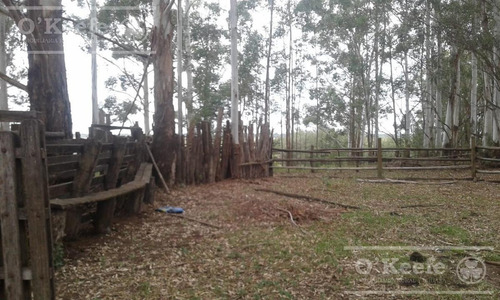 Imagen 10 de 17 de Campo - General Alvear