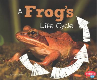 Libro A Frog's Life Cycle - Mary R Dunn