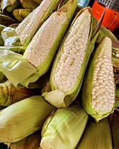 Comprar Semillas De Maiz Nativo Cacahuazintle Elote 100 Semillas