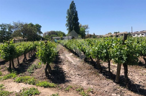 Imagen 2 de 22 de Otros En Venta En Isla De Maipo