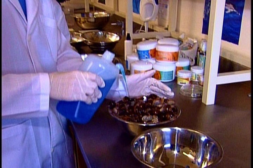 Imagen 5 de 9 de Crema Balsámica Astringente Baba De Caracol Politécnico