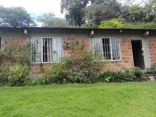 Imagen 1 de 10 de Venta Finca En Génova, Quindío