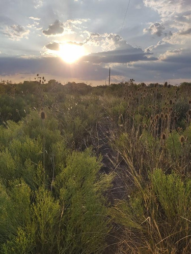 Imagen 9 de 9 de Campo En Sarandi (zona Esceula N° 17)