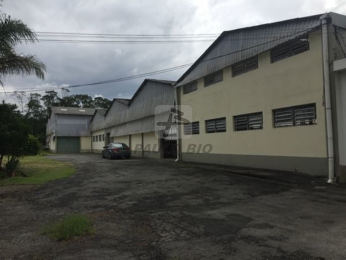 Imagem 5 de 15 de Terreno Industrial - Batistini - Ref: 4839 - V-4839
