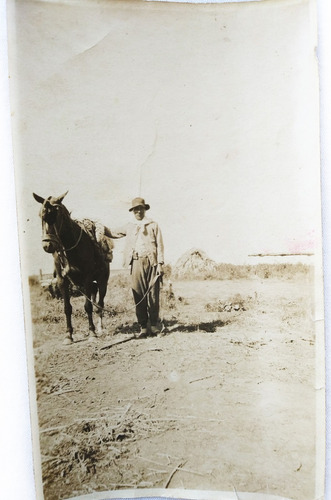 Serie Antigua 2 Fotos Campo Gaucho Con Caballo - Circa 1920 (Usado)
