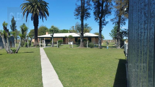 Imagen 3 de 23 de Campo - Gualeguaychu