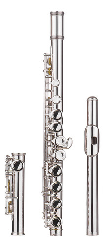 Flauta 16 Agujeros Cerrados. Instrumento Flautas Cuproníquel