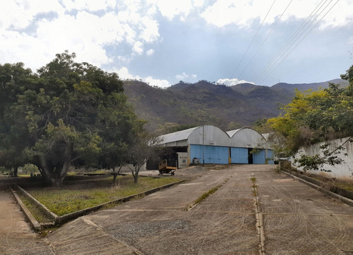 Imagen 5 de 14 de Galpon Con Terreno Venta Mariara Carabobo Inmobiliaragua