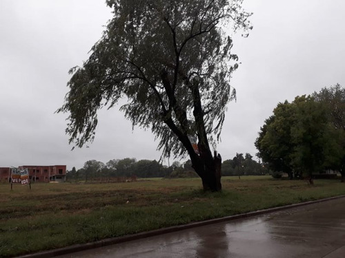 Imagen 3 de 6 de Terreno En Venta En José C Paz