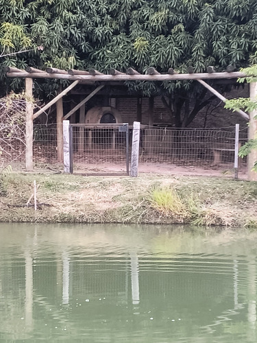 Aluguel De Área Camping, Com Área De Lazer, Quadra De Vôlei