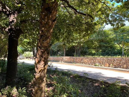 Terreno De 3000m2 En Fuentidueño