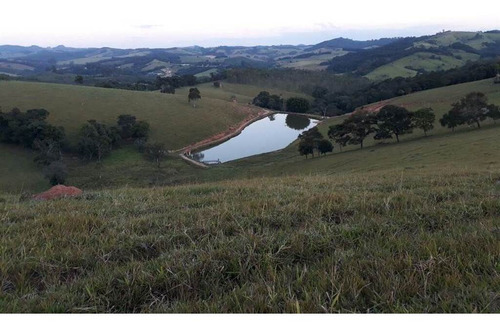 Imagem 7 de 20 de Rural - Venda - Boqueirao - Praia Grande - Mcb1038