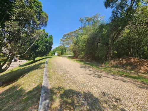 Venta Lote Glorieta 1 Justo En El Acceso Y Cerca De Amenidades Con Proyecto Incluído En Fracc Rancho San Diego Ixtapan De La Sal Edomex