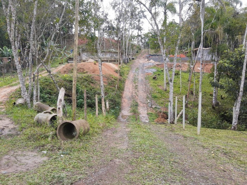 Imagem 27 de 28 de Terreno - Te00030 - 68403756
