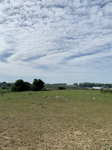 En Venta Chacra En Salto. Ruta 3 ¡atención Inversores Y Empresarios!