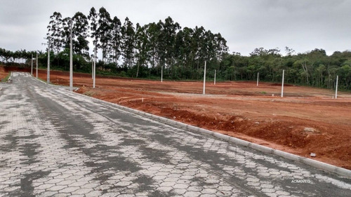 Imagem 5 de 10 de Terreno - Sangao - Ref: 348 - V-348