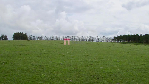 Venta Chacra Marítima, Altos Jose Ignacio