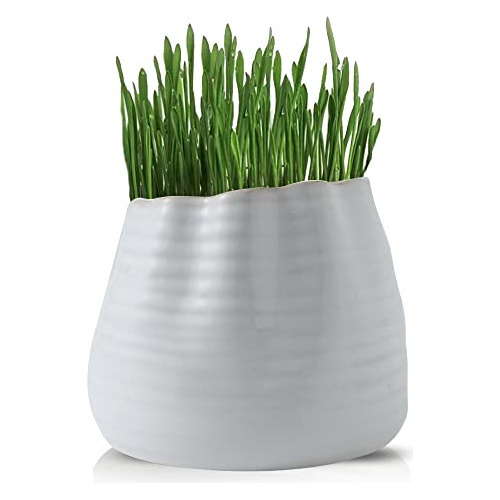 Ceramic Planter Pots For Indoor Plants White Threaded D...