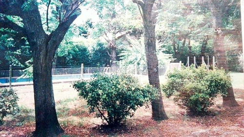 Imagen 8 de 9 de Vendo Casa Quinta En Pilar