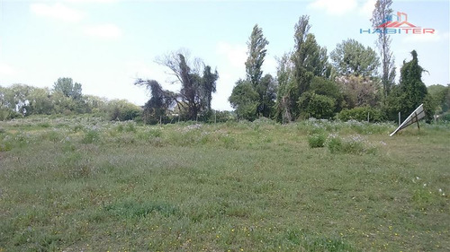 Imagen 20 de 30 de Agrícola En Venta En Linares