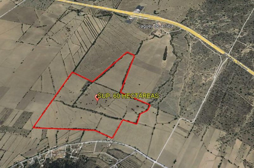 Terreno En Villa De Tezontepec, Hidalgo. Sup. 60 Hectáreas.