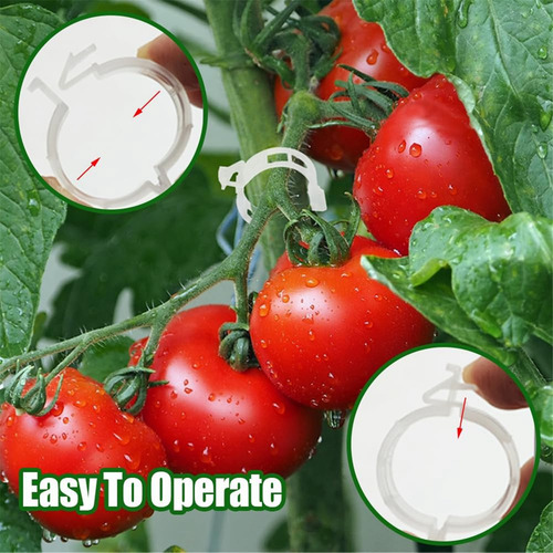 Ganchos Para Tomates Con Cuerda, Clips De Soporte Para Plant