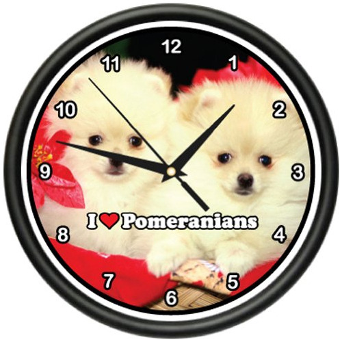Pomerania Reloj De Pared Pomerania Perro Mascota Cachor...