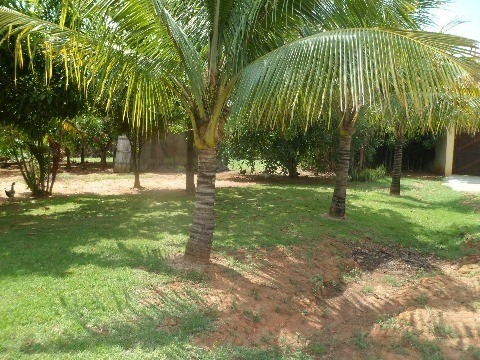 Imagem 4 de 26 de Chacara - Ch00122 - 1936481