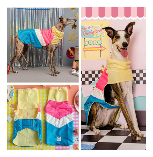 Capa Impermeable Elecant Para Peros | Abrigo Con Cuello Para Mascotas Talle Xs | Ropa Para Perros | Protección Para El Frío Y La Lluvia |