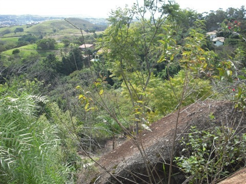 Chácara Com 4 Dormitórios À Venda, 11200 M² - Chácara Alpina - Valinhos/sp - Ch0205