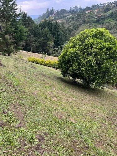 Arriendo Cabaña Por Meses En Rionegro