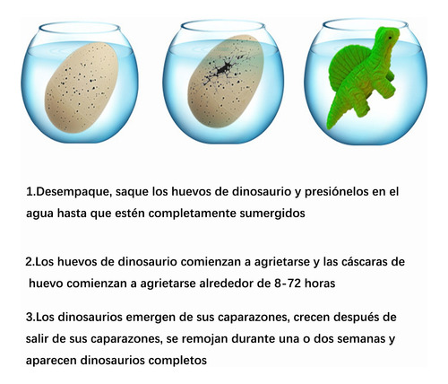 Remojar En Agua Para Expandir Los Juguetes De Huevos De Dino