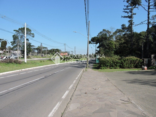 Imagem 8 de 13 de Terreno - Sao Jose - Ref: 262128 - V-262128