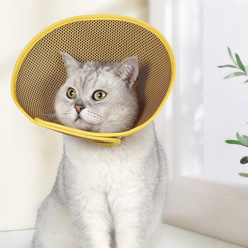 Cono De Gato Cono De Cuello De Gato Cono De Recuperación S