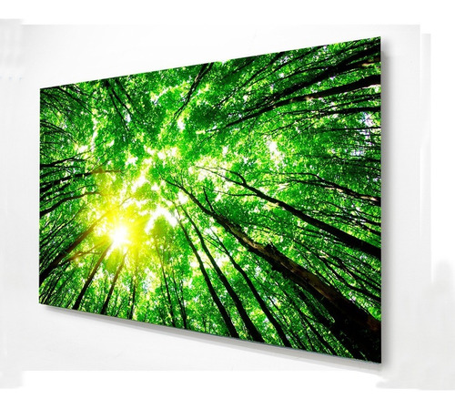 Cuadro Decorativo Arboles Del Bosque Hd 120x80cm Nature Tree Color Verde