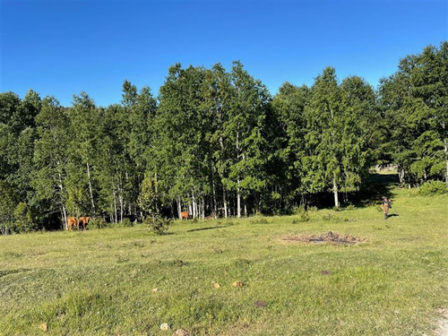 Terreno Agrícola De 5 Héctareas En Venta Cerca De Riachuelo