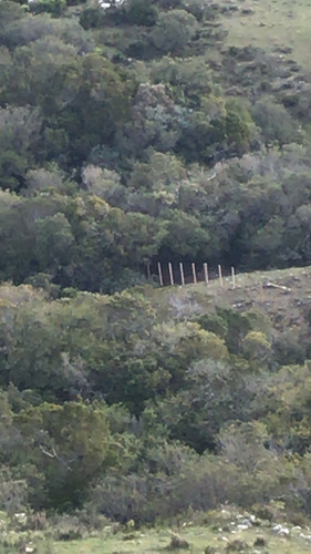 Campo Con Cerro En Ruta 60