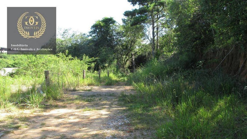 Imagem 2 de 12 de Terreno Residencial À Venda, Centro, Viamão. - Te0048